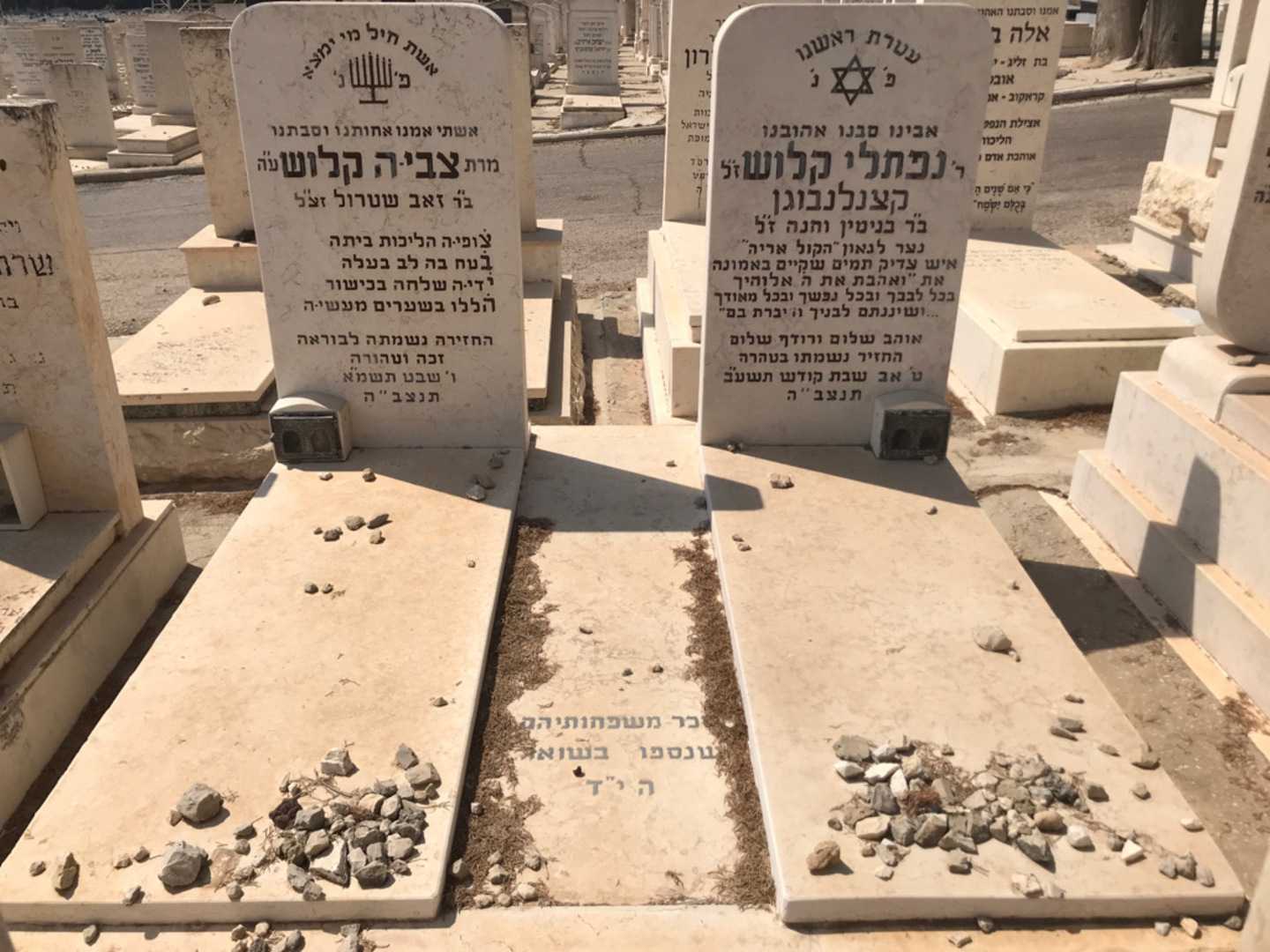 קברו של צבי-ה קלוש. תמונה 1