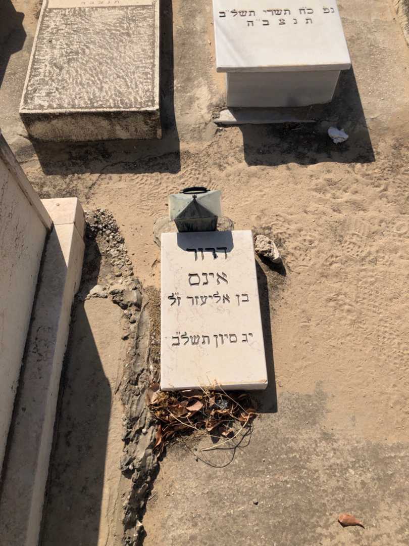 קברו של דרור אינס