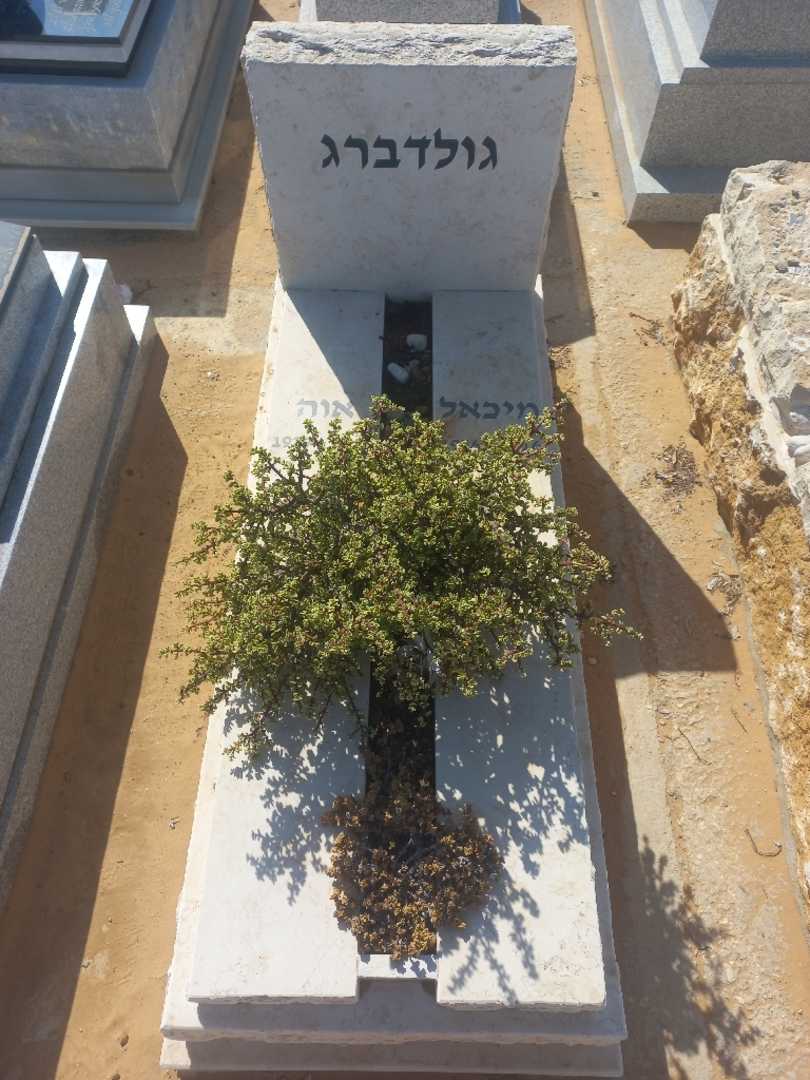 קברו של מיכאל גולדברג. תמונה 1