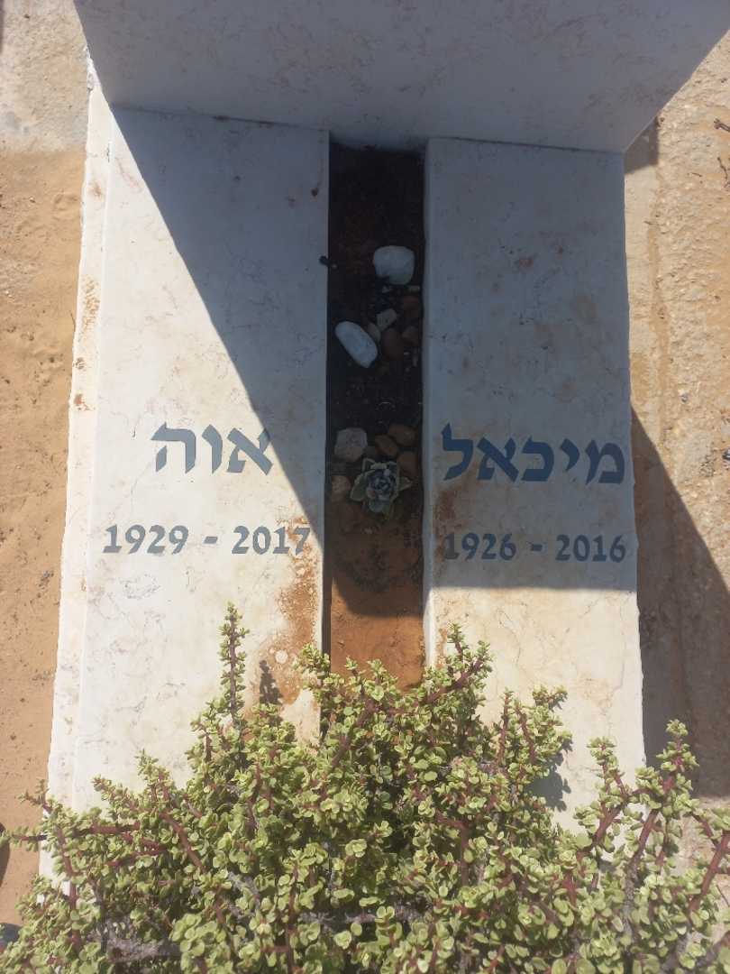 קברו של מיכאל גולדברג. תמונה 2