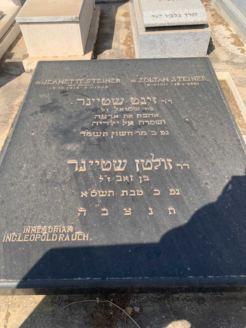 קברו של זינט שטיינר. תמונה 1