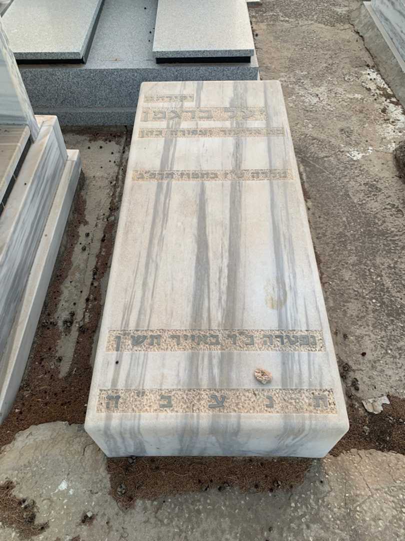 קברו של יעל ברגמן