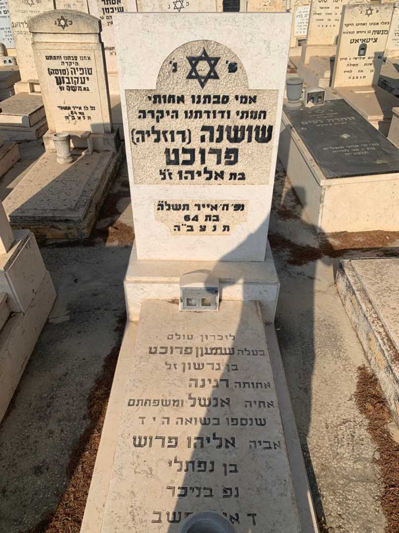 קברו של שמעון פרוכט