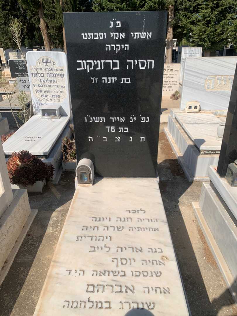 קברו של חסיה ברזניקוב