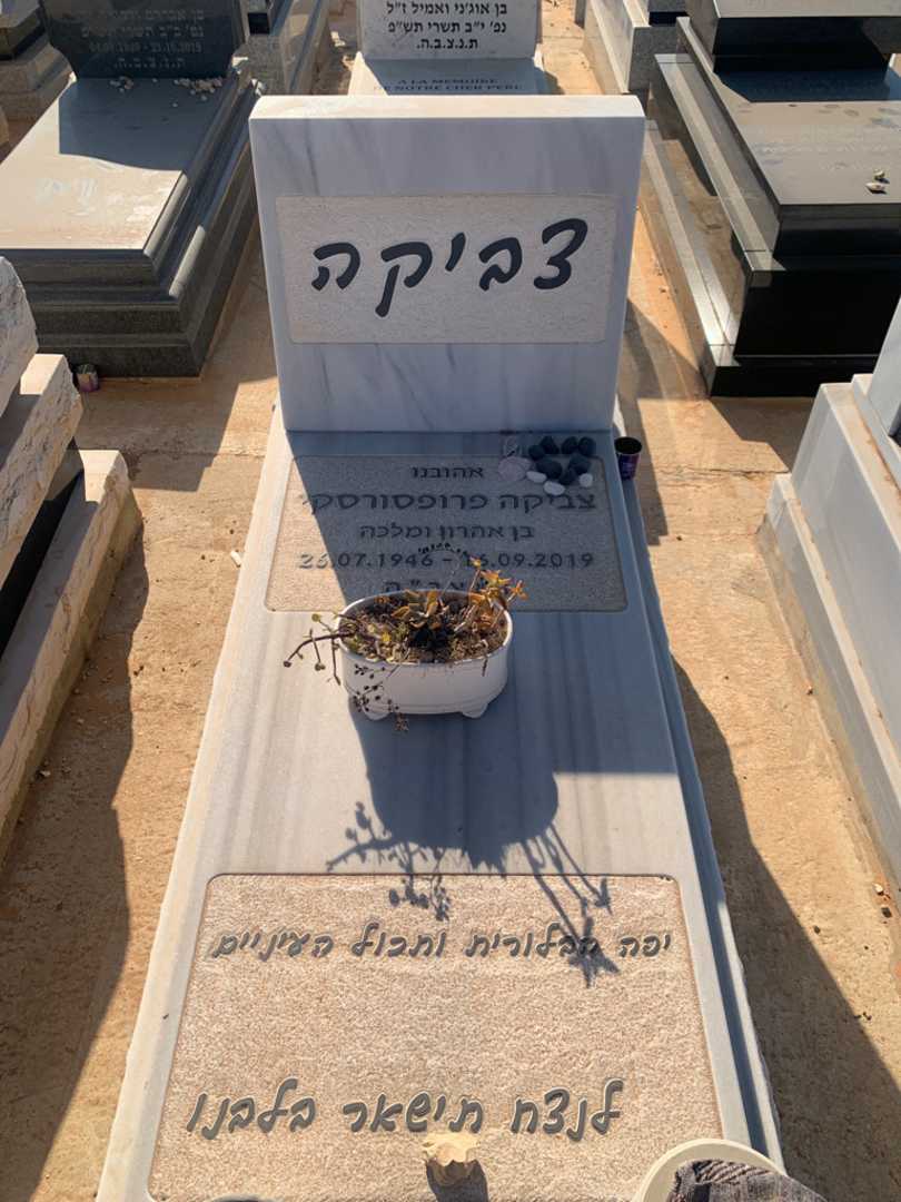 קברו של צביקה פרופסורסקי