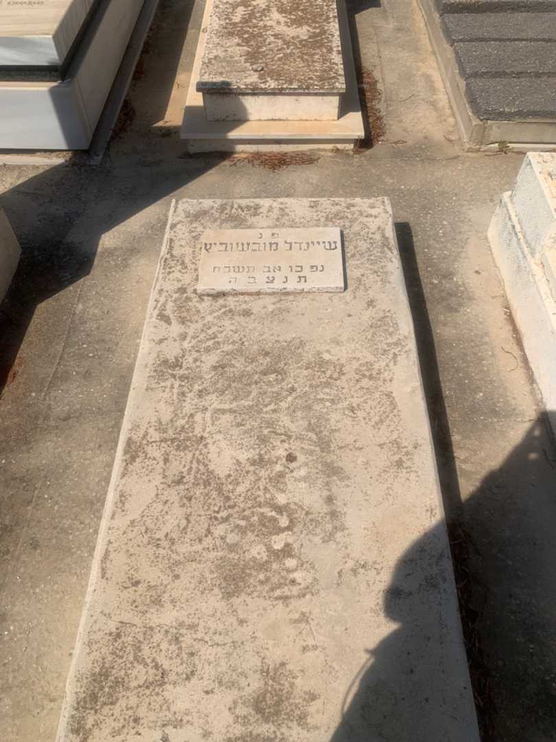 קברו של שיינדל מובשוביץ