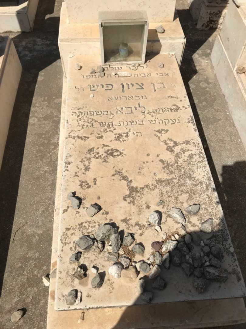 קברו של ליבא פיש. תמונה 2
