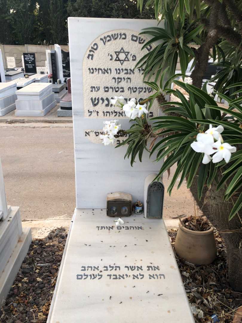 קברו של רפאל גניש. תמונה 1