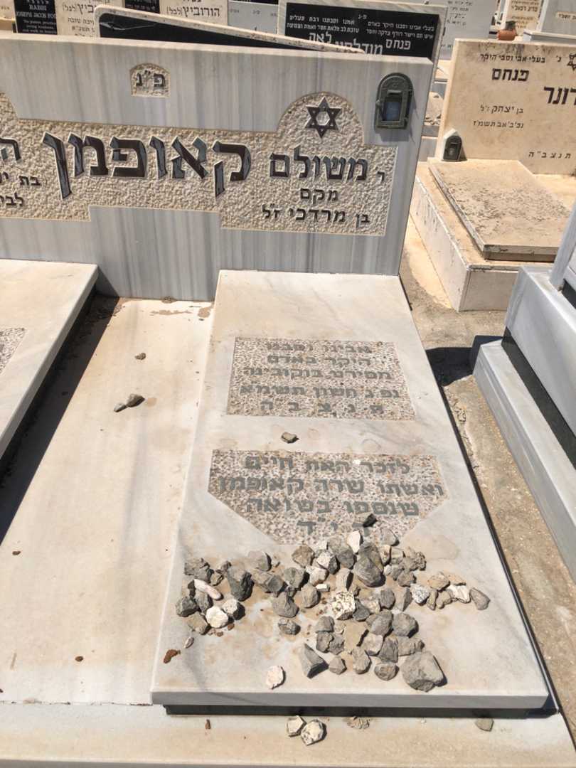 קברו של משולם "מקס" קאופמן. תמונה 1