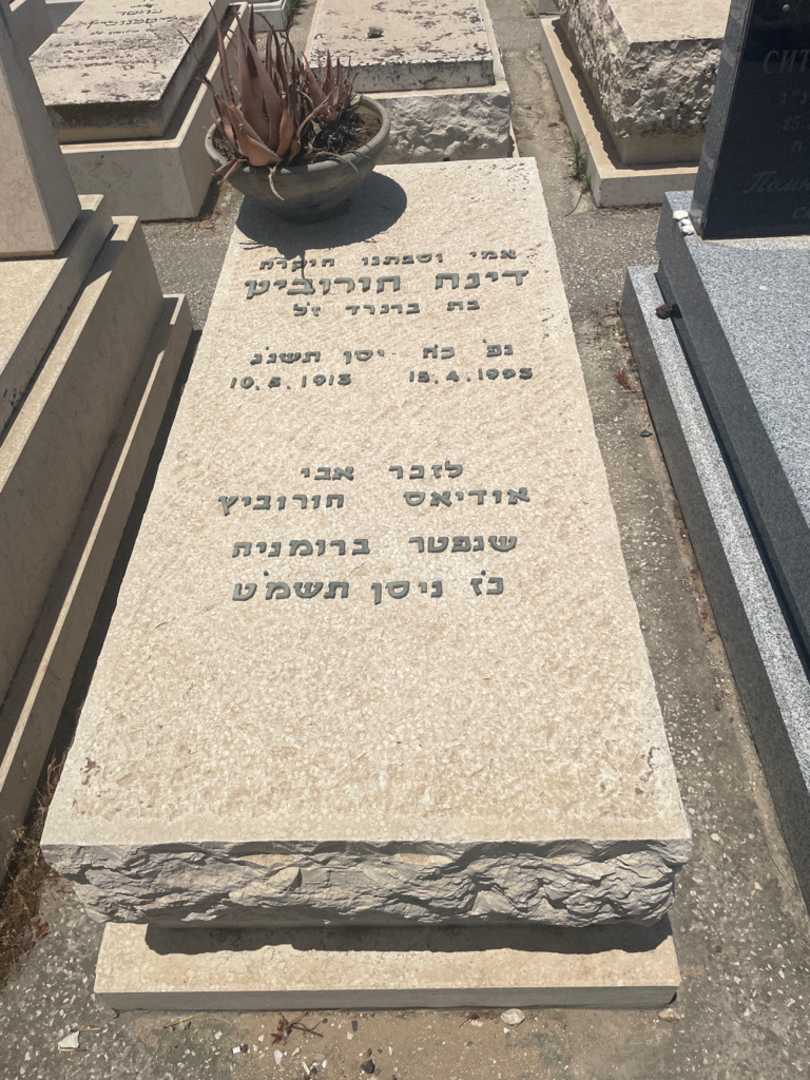 קברו של דינה הורוביץ