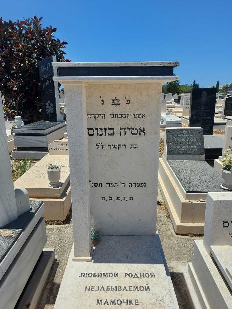 קברו של אטיה בזנוס. תמונה 2