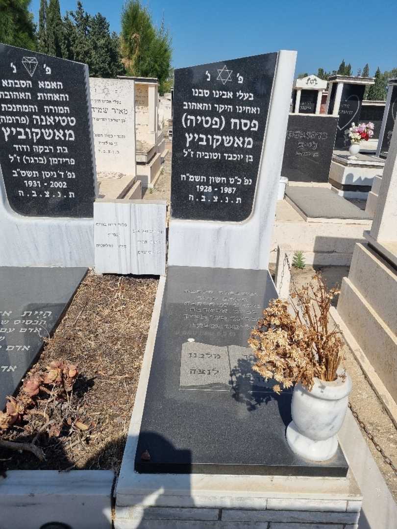 קברו של פסח "פטיה" מאשקוביץ. תמונה 2