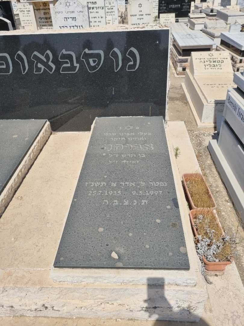 קברו של אברהם נוסבאום. תמונה 1