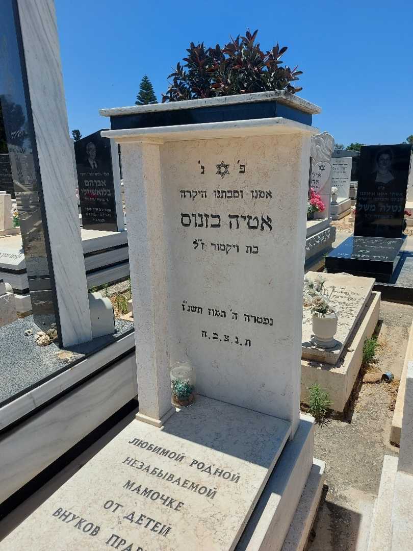 קברו של אטיה בזנוס. תמונה 3