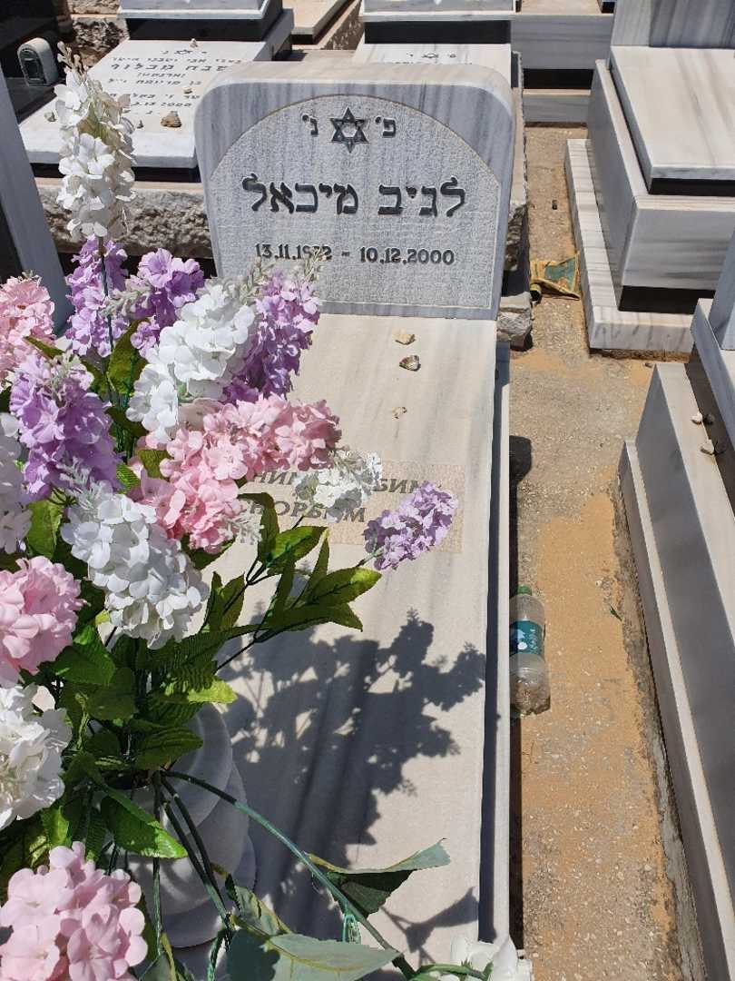 קברו של מיכאל לגוב. תמונה 1
