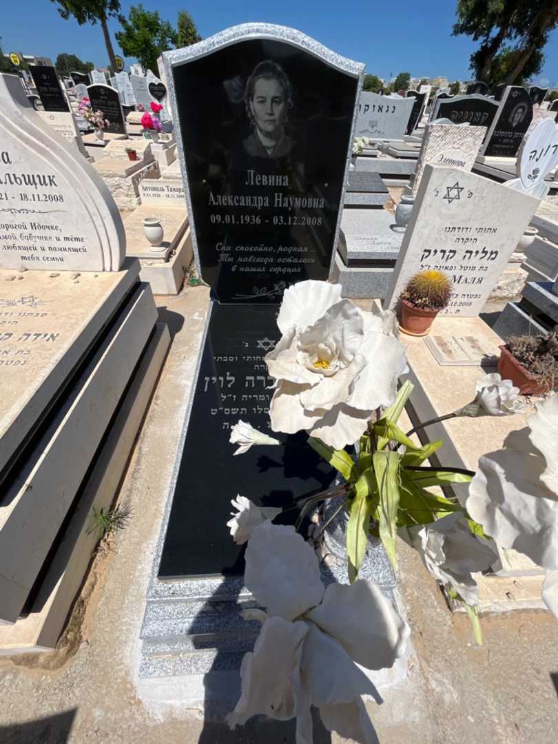 קברו של אלכסנדרה לוין