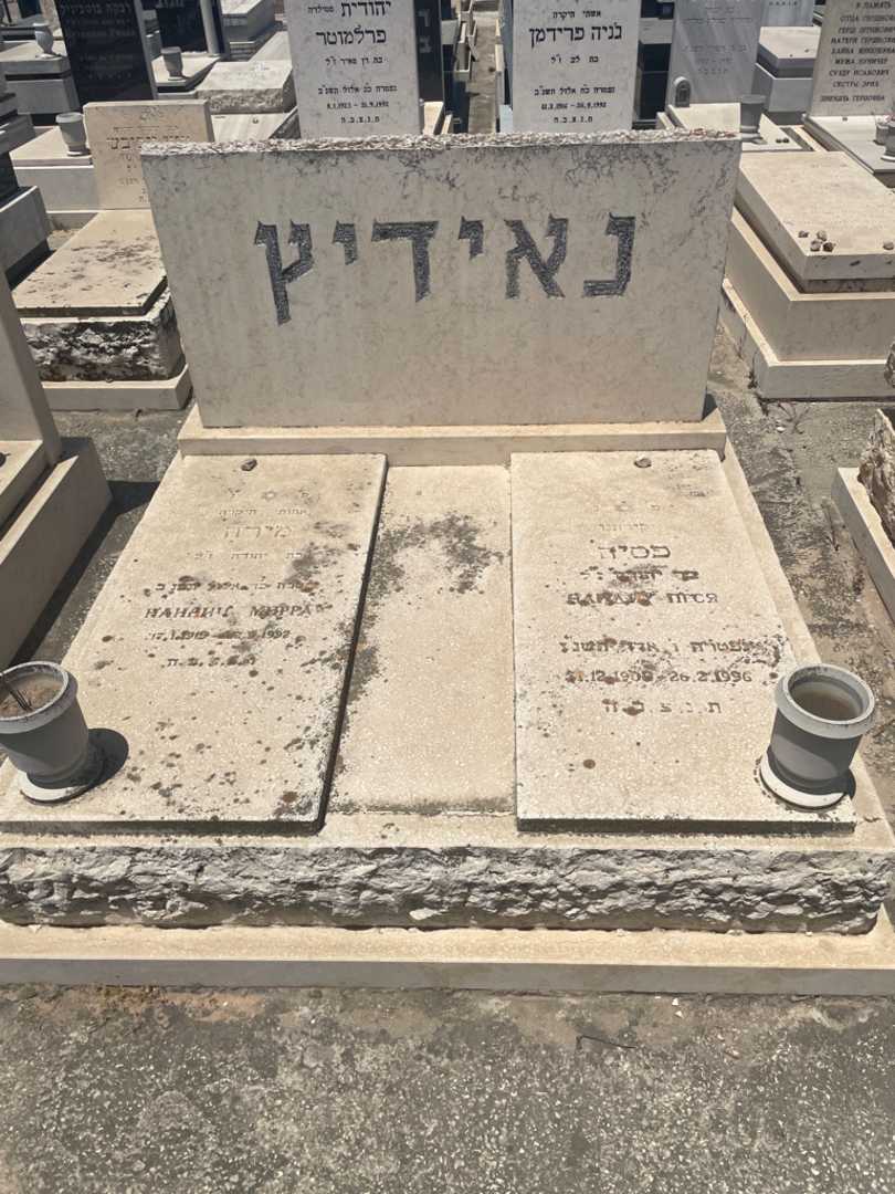 קברו של מירה נאידיץ