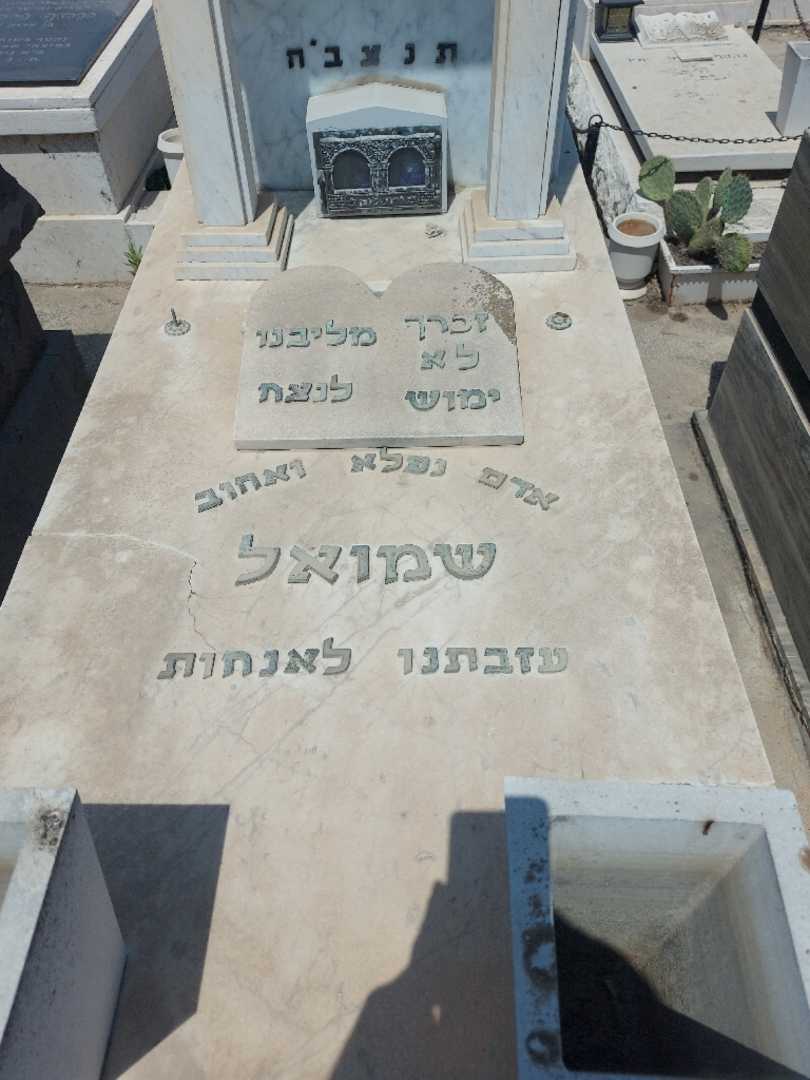 קברו של שמואל בטונאשוילי. תמונה 4