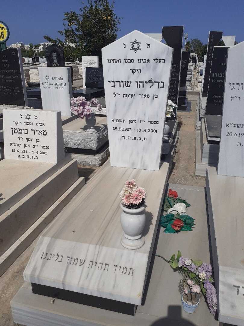 קברו של גדליה שורגי