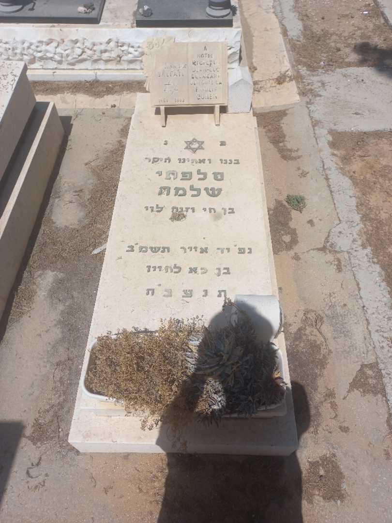 קברו של שלמה סלפתי