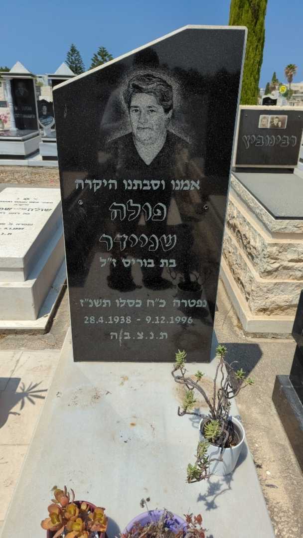 קברו של פולה שניידר. תמונה 3