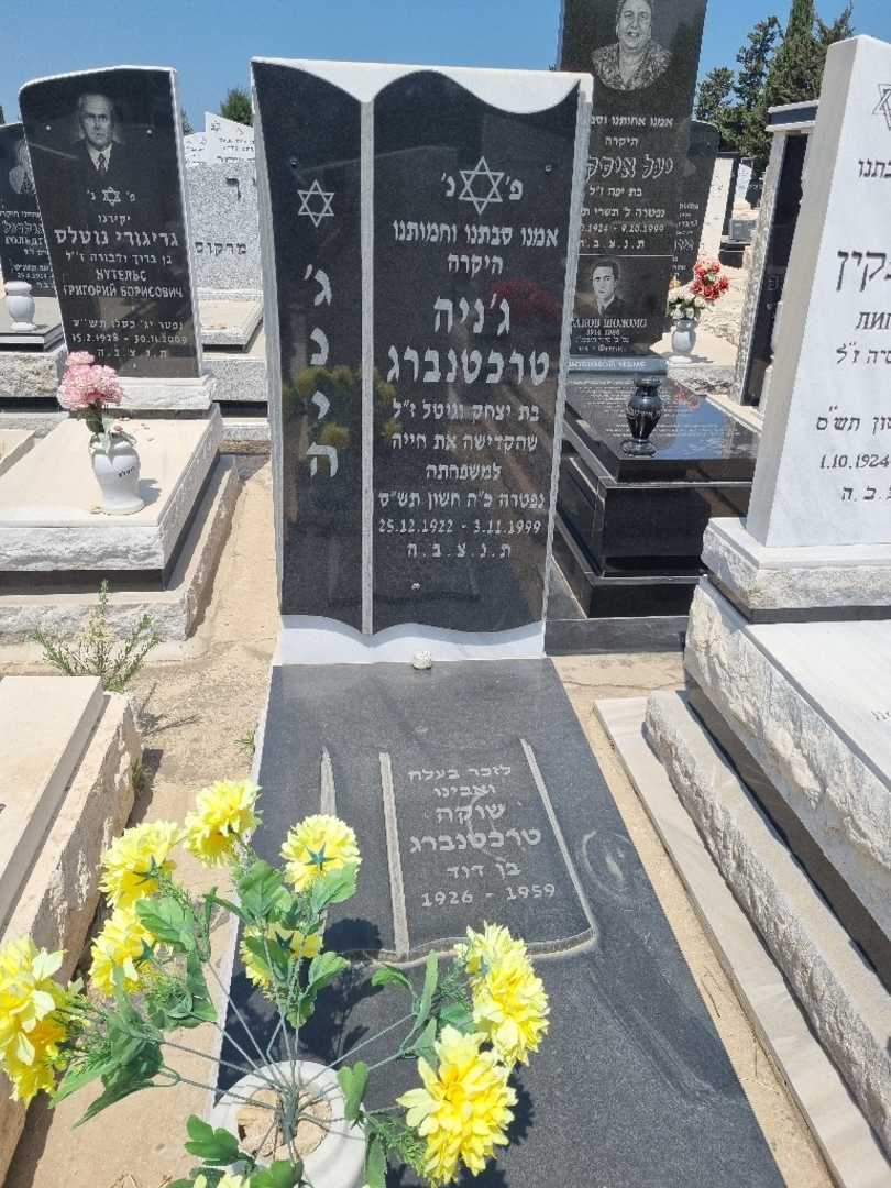 קברו של שוקה טרכטנברג