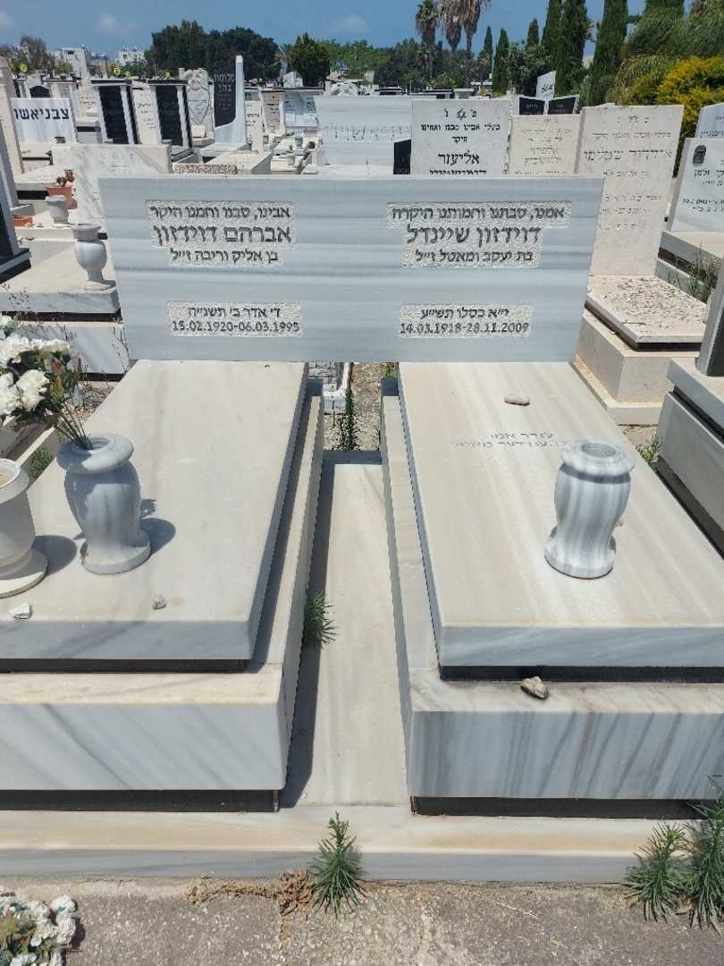 קברו של אברהם דוידזון. תמונה 2