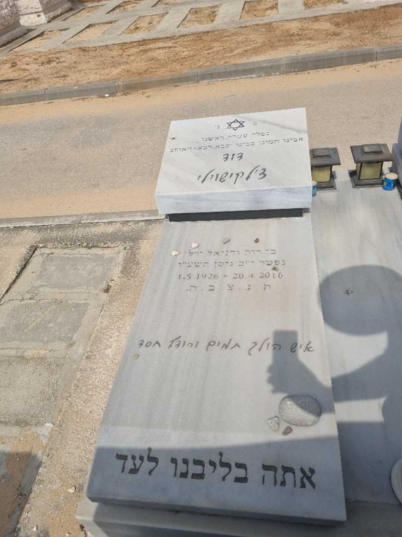 קברו של דוד צלקישוילי. תמונה 1