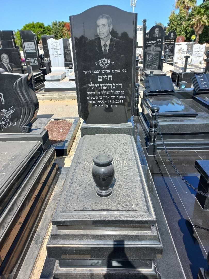קברו של חיים דזנהשווילי