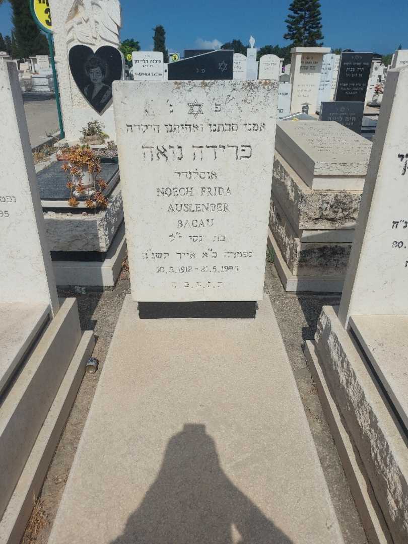 קברו של פרידה נואה