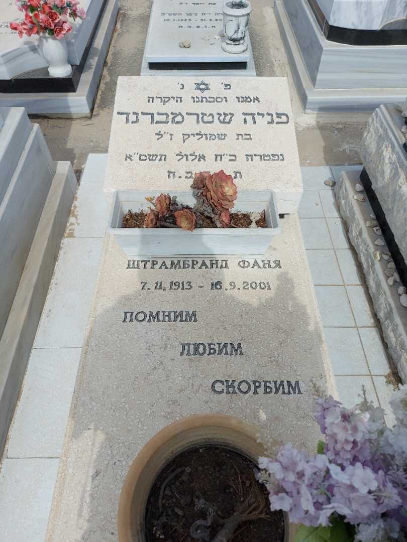 קברו של פניה שטרמברנד