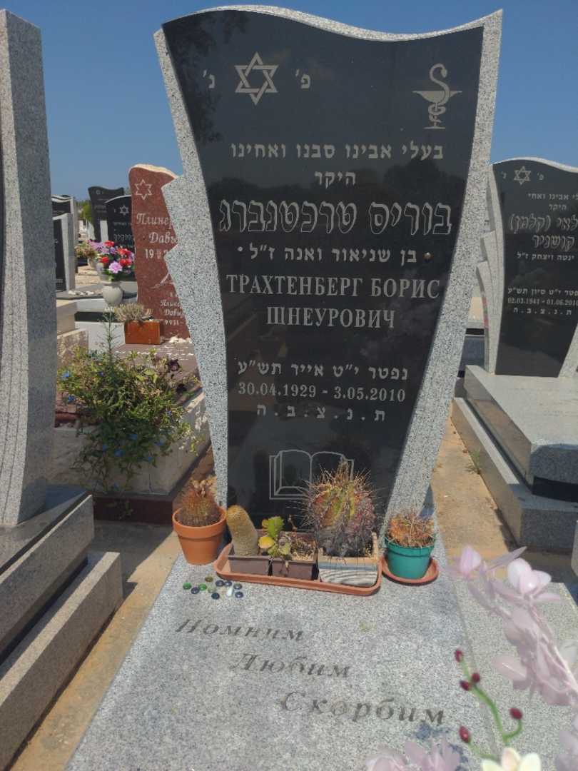 קברו של בוריס טרכטנברג. תמונה 2
