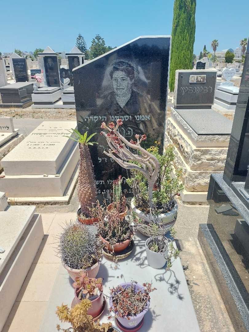 קברו של פולה שניידר. תמונה 1