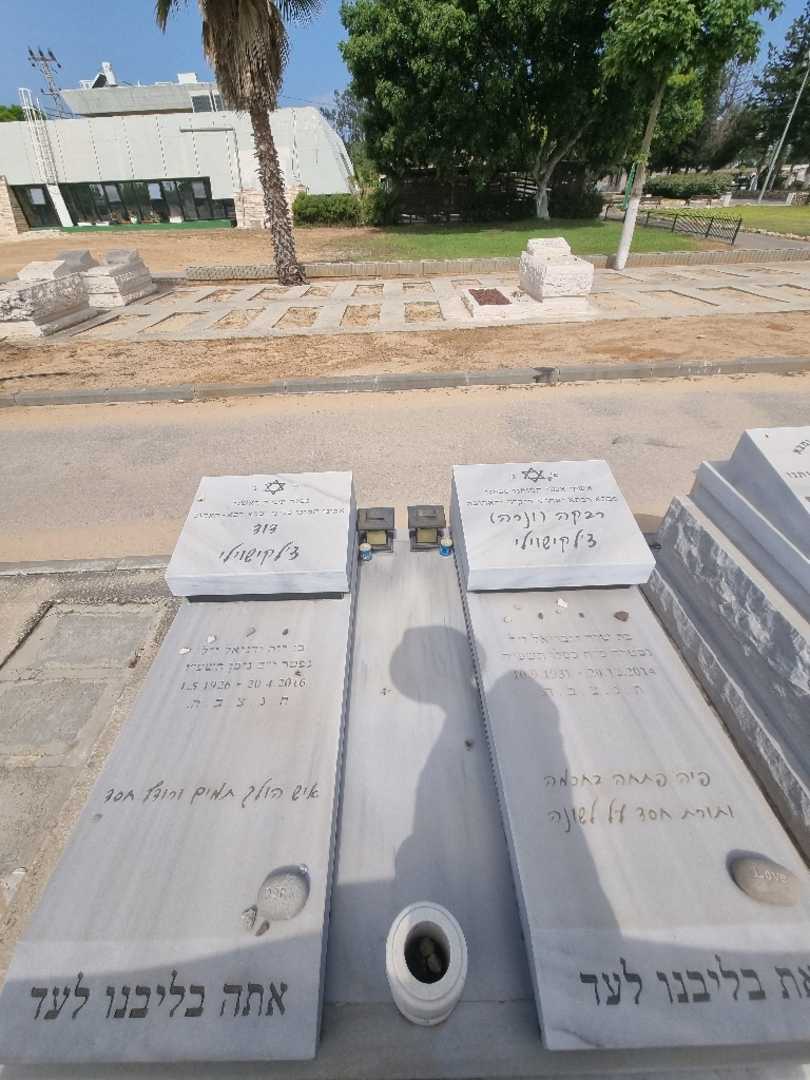קברו של דוד צלקישוילי. תמונה 2