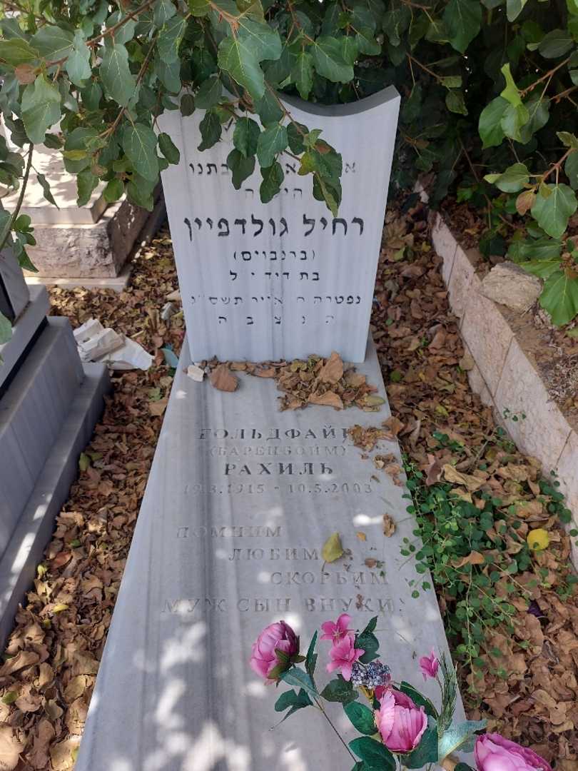 קברו של רחיל גולדפיין. תמונה 1