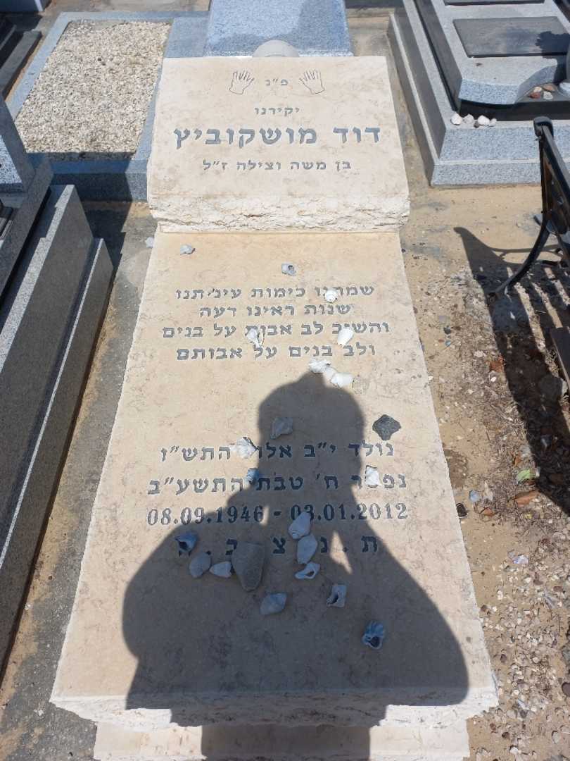 קברו של דוד מושקוביץ