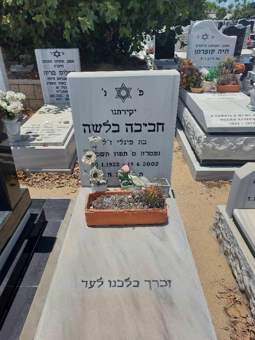 קברו של חביבה בלשה