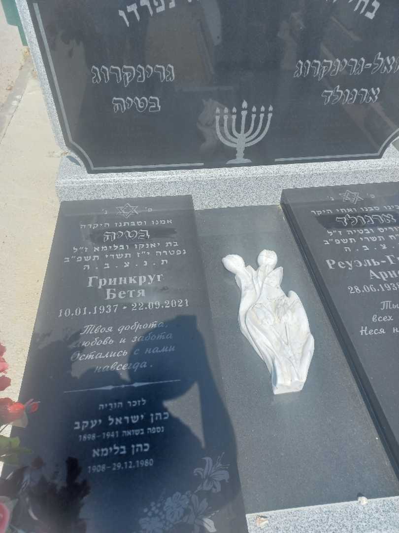 קברו של בטיה גרינקרוג. תמונה 2