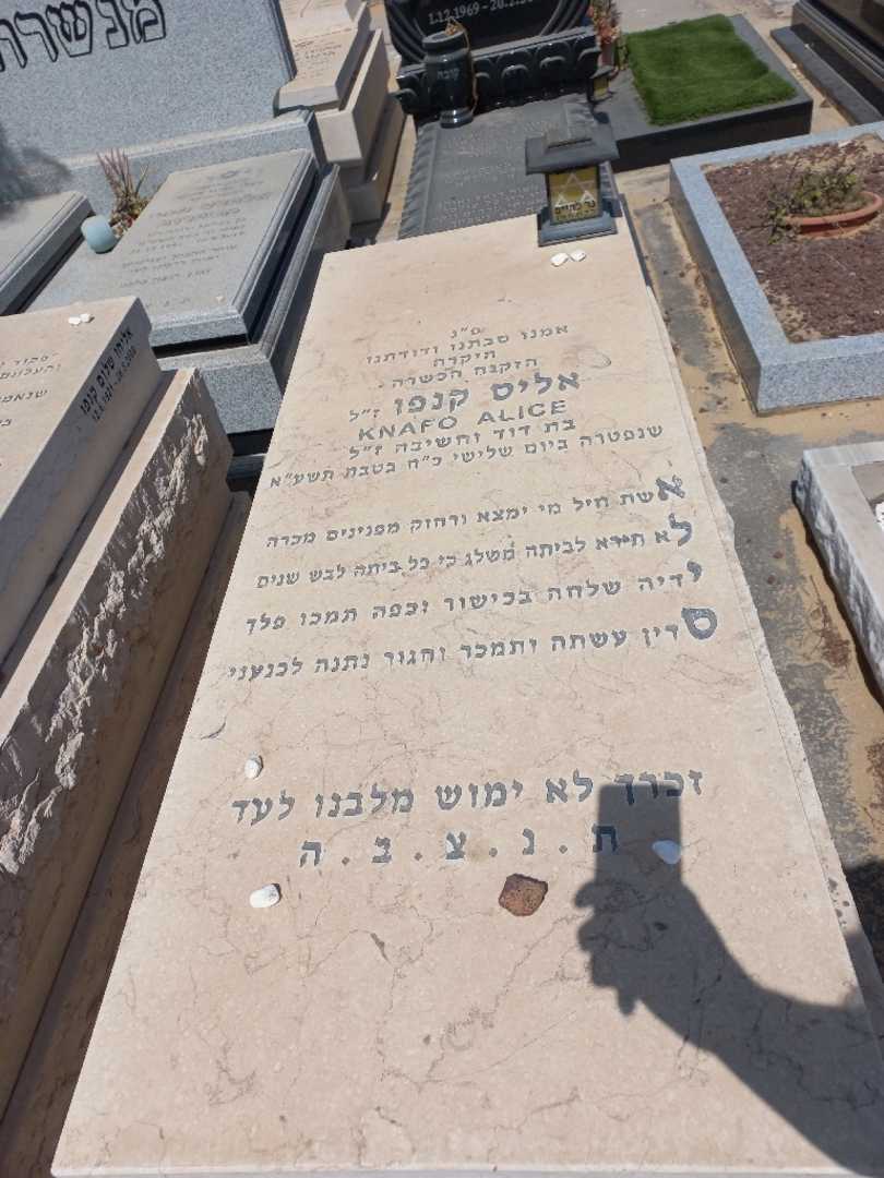 קברו של אליס כנפו