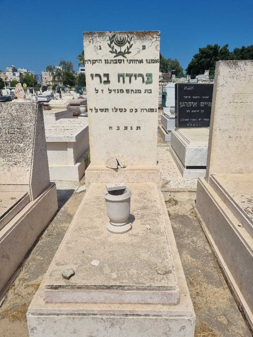 קברו של פרידה ברי