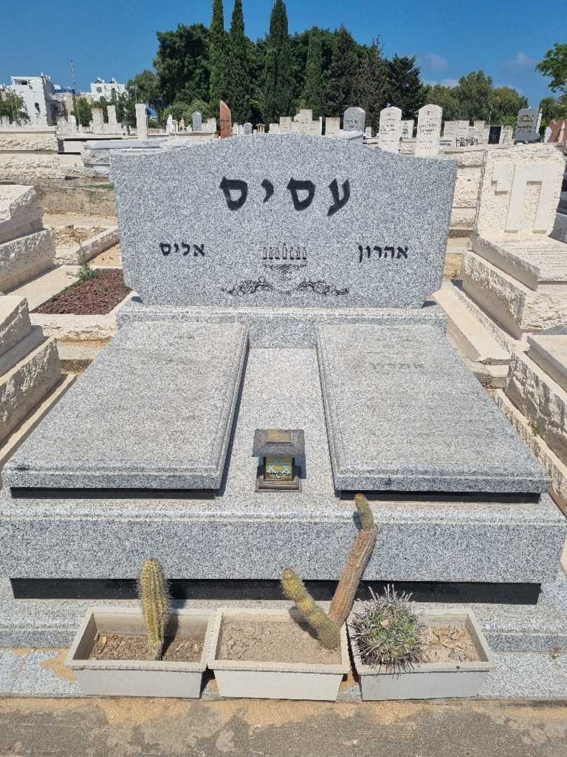 קברו של אליס עסיס. תמונה 1