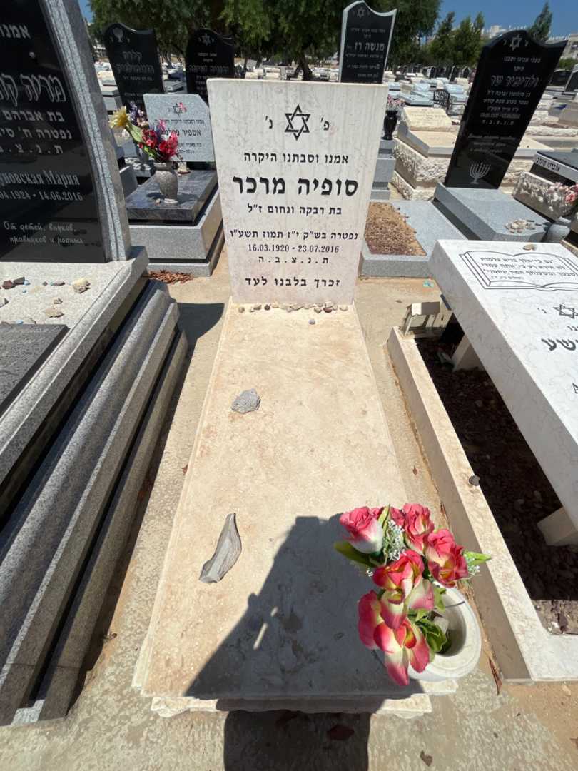 קברו של סופיה מרכר