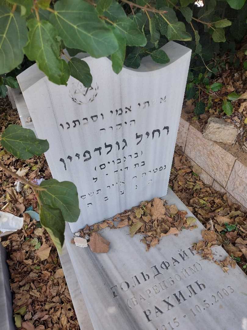 קברו של רחיל גולדפיין. תמונה 2