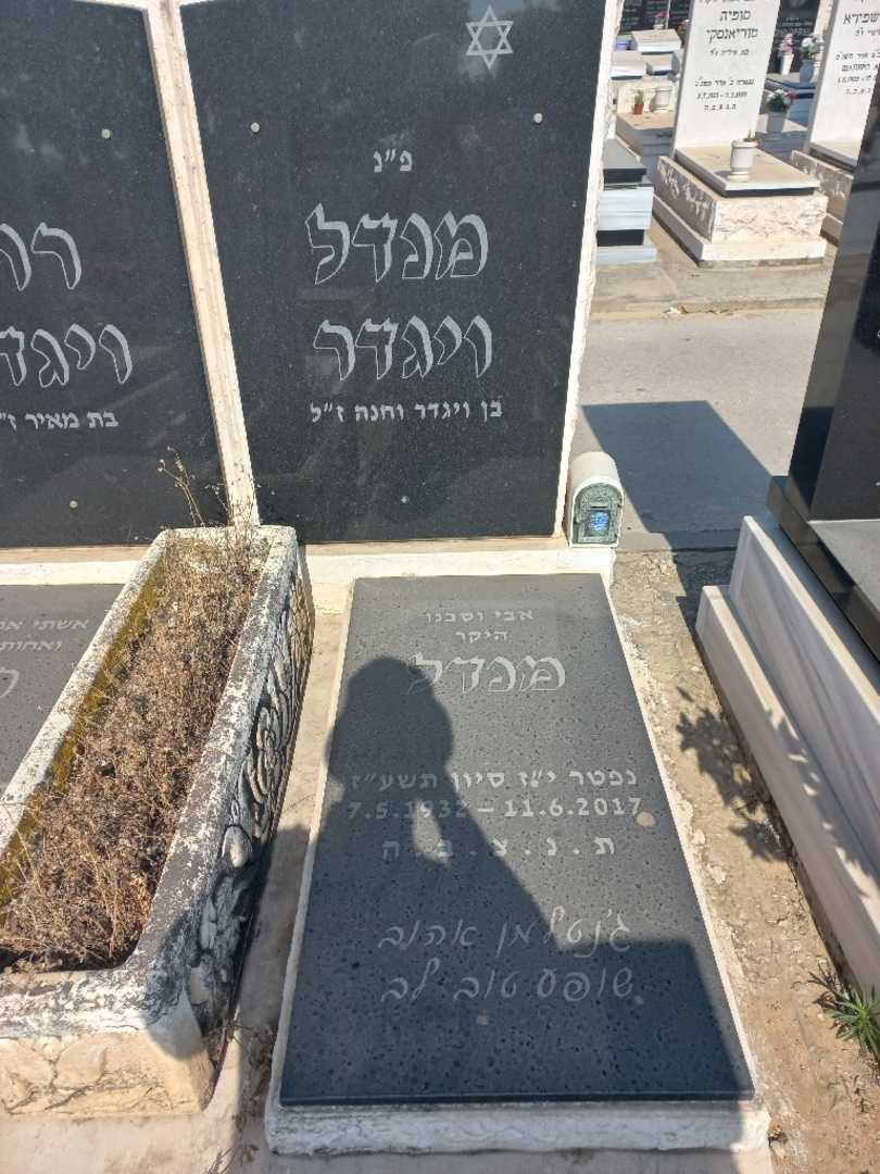 קברו של מנדל ויגדר