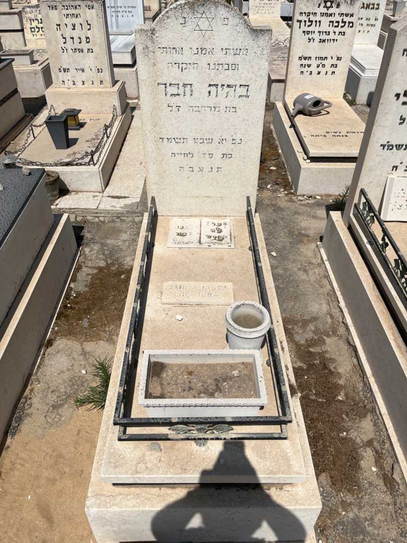 קברו של בהיה חבר