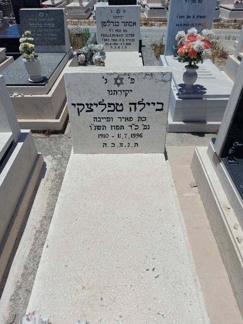 קברו של ביילה טפליצקי