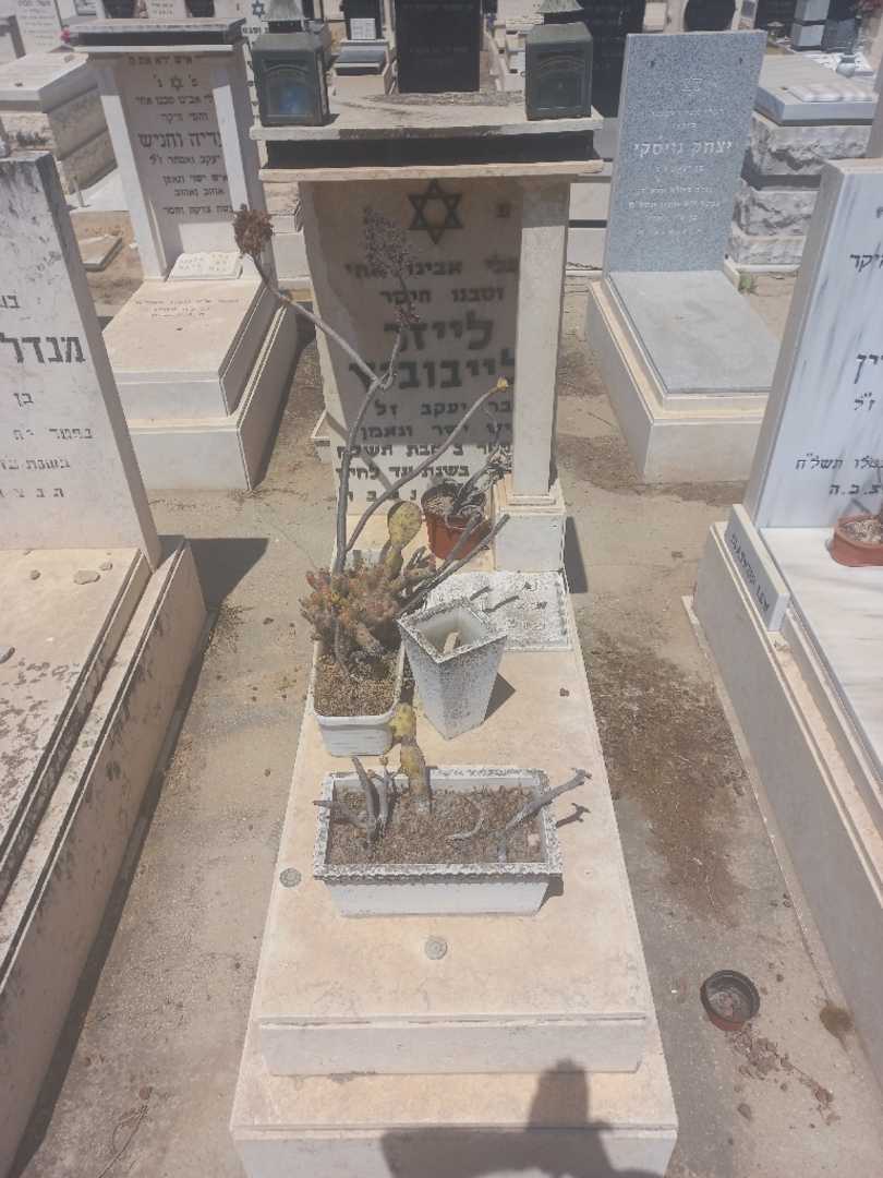 קברו של לייזר ליבוביץ