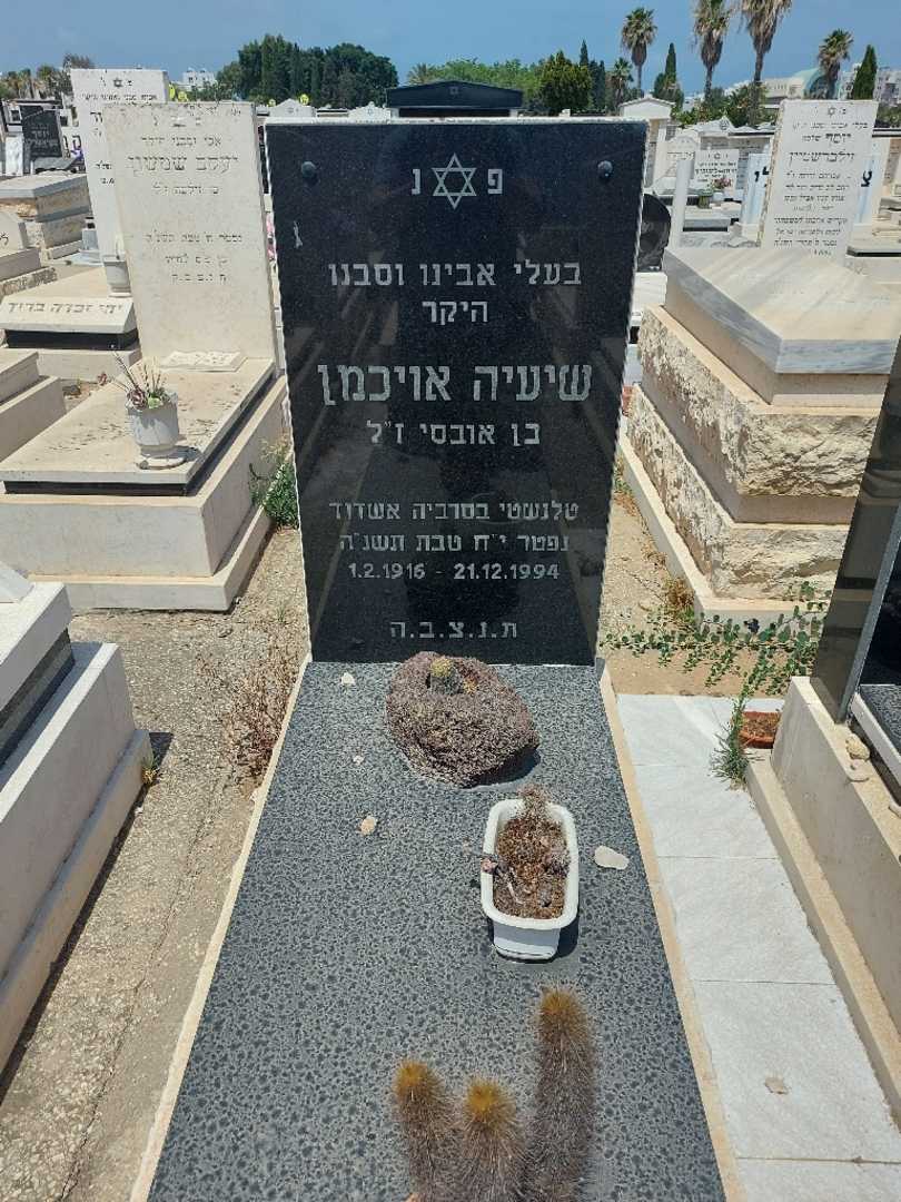 קברו של שיעיה אויכמן