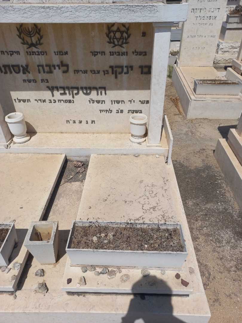 קברו של ליבו ינקו הרשקוביץ. תמונה 1