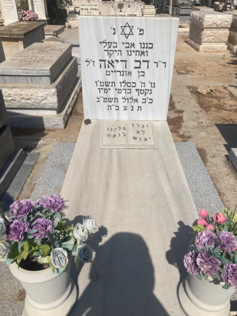 קברו של דב דיאה